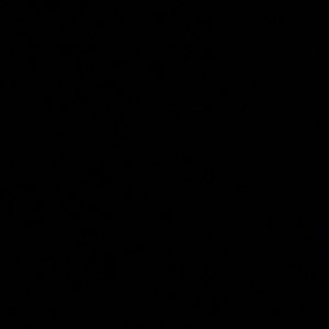 Meet your Posher, Trinity